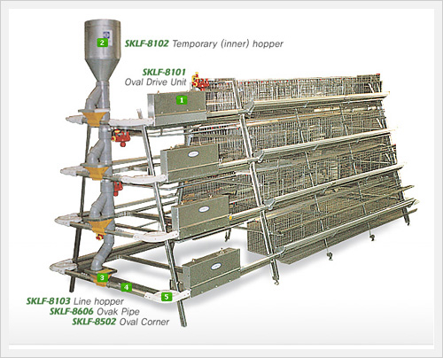 Automatic Cage Disc Feeding System for Lay... Made in Korea